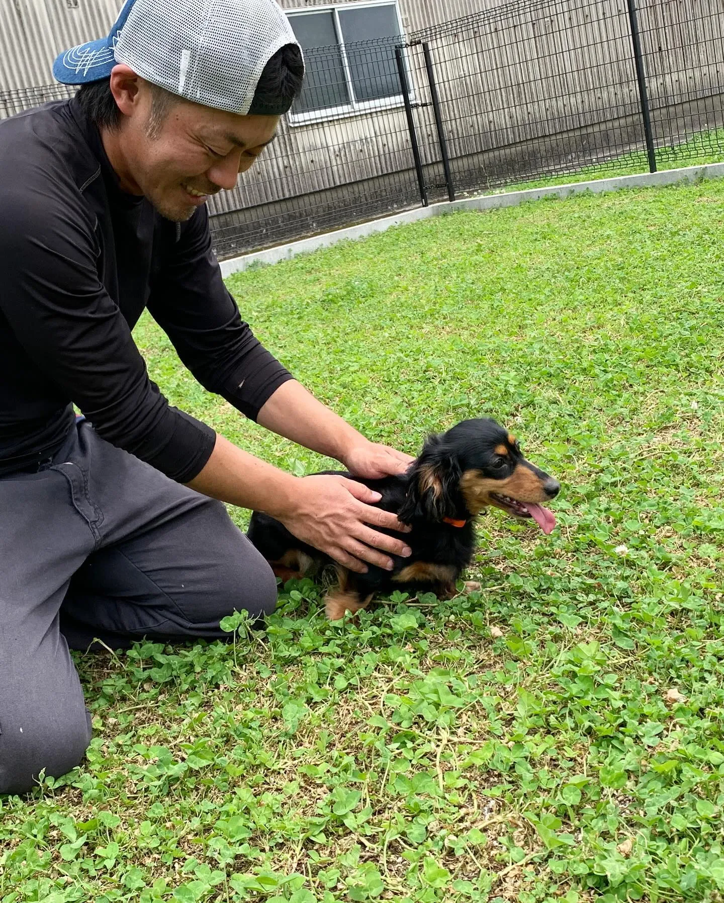 チョコちゃん一家大集合！╰(*´︶`*)╯♡