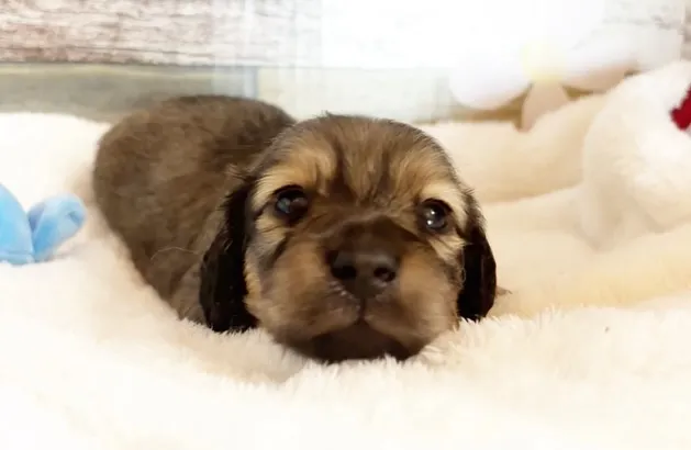 ご家族様募集始めます(о´∀`о)♪⭐︎