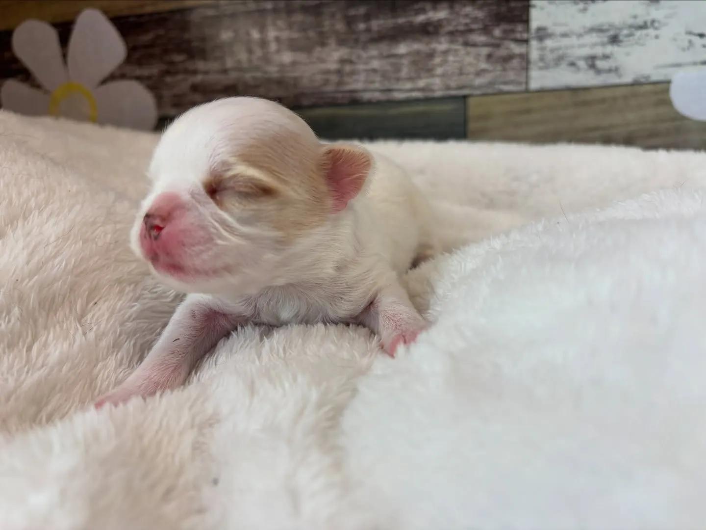 もうすぐかな？(*ﾟ∀ﾟ*)