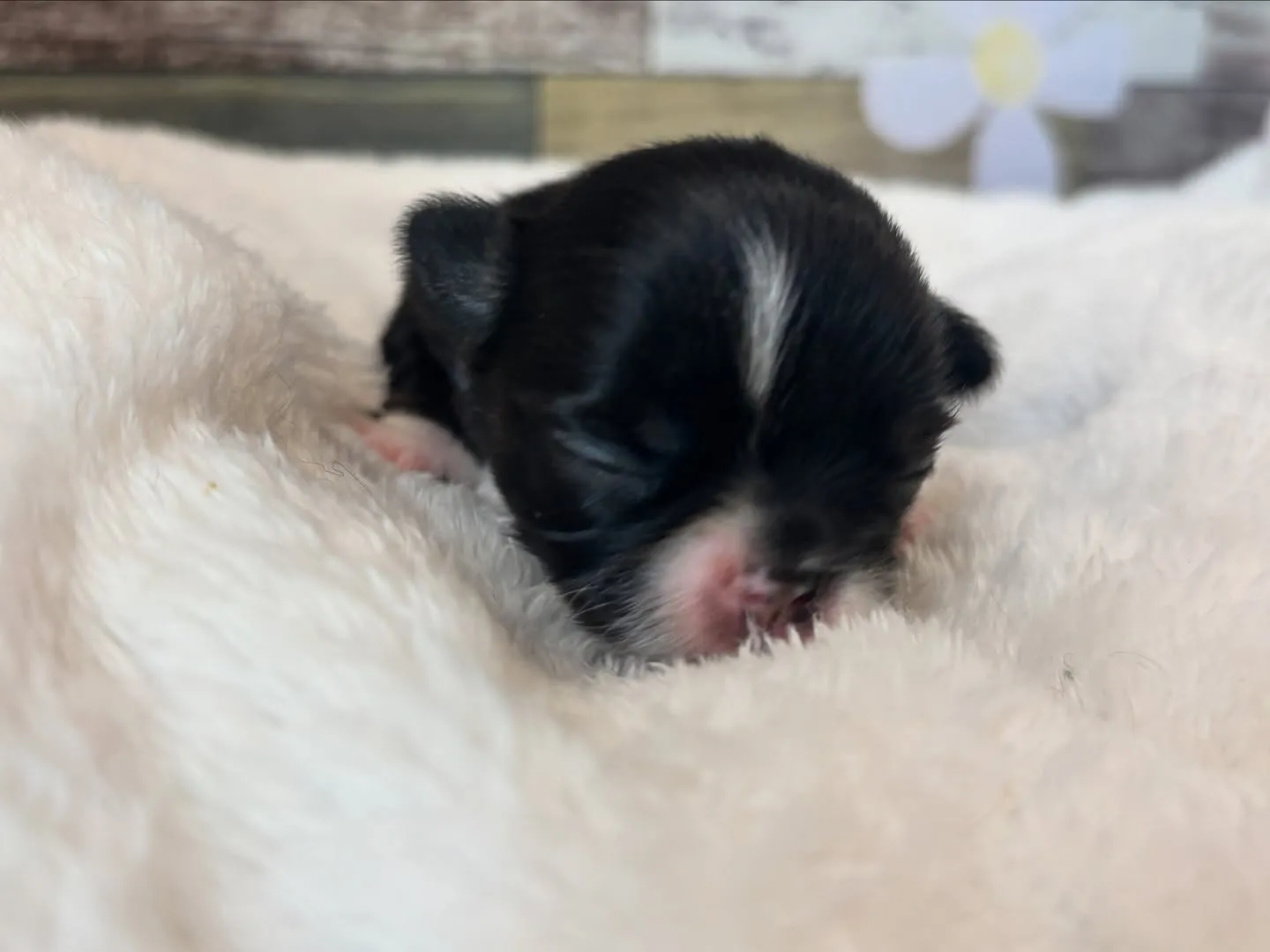 もうすぐかな？(*ﾟ∀ﾟ*)