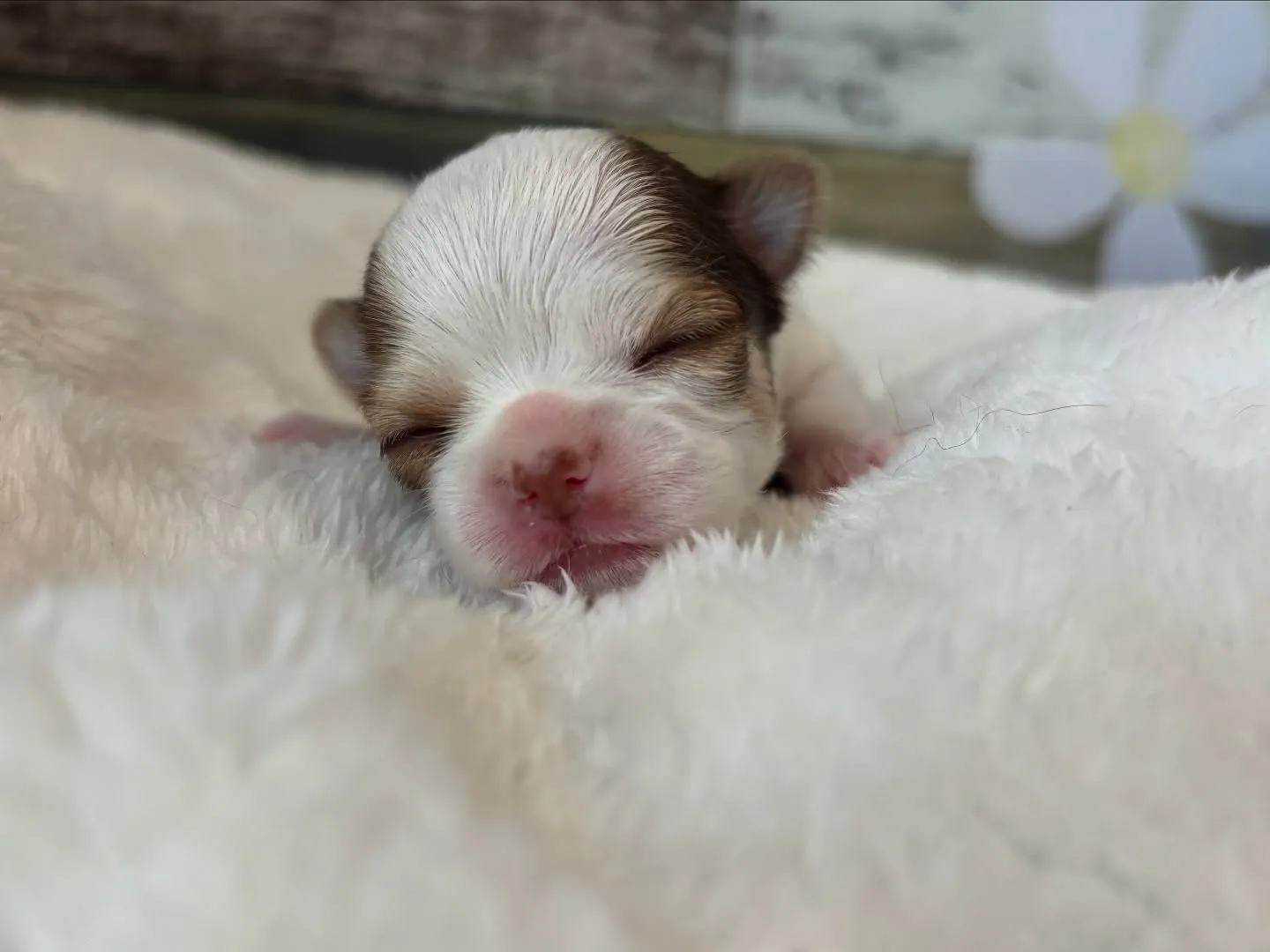 もうすぐかな？(*ﾟ∀ﾟ*)