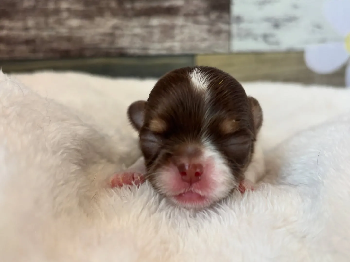 もうすぐかな？(*ﾟ∀ﾟ*)