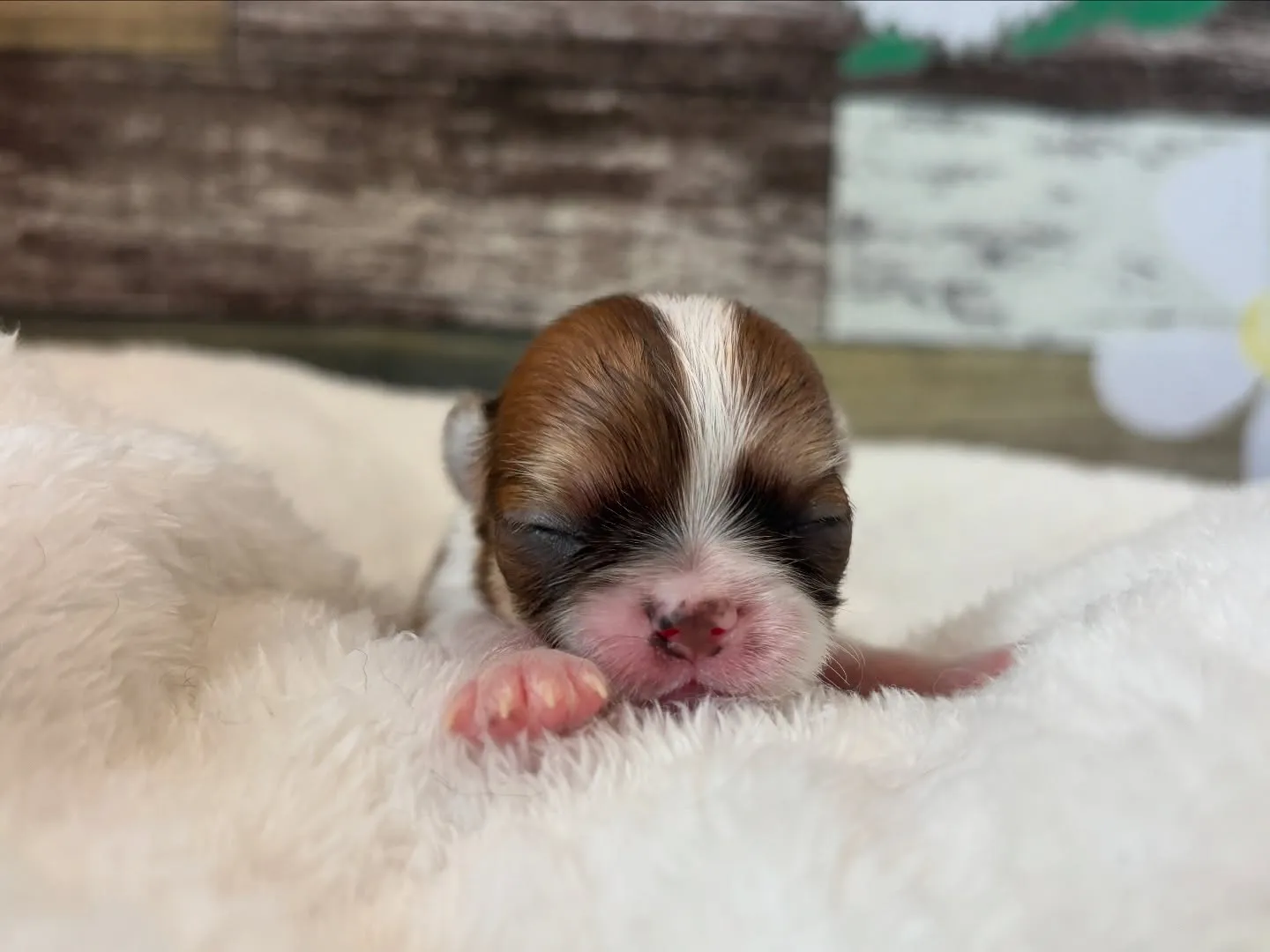 もうすぐかな？(*ﾟ∀ﾟ*)