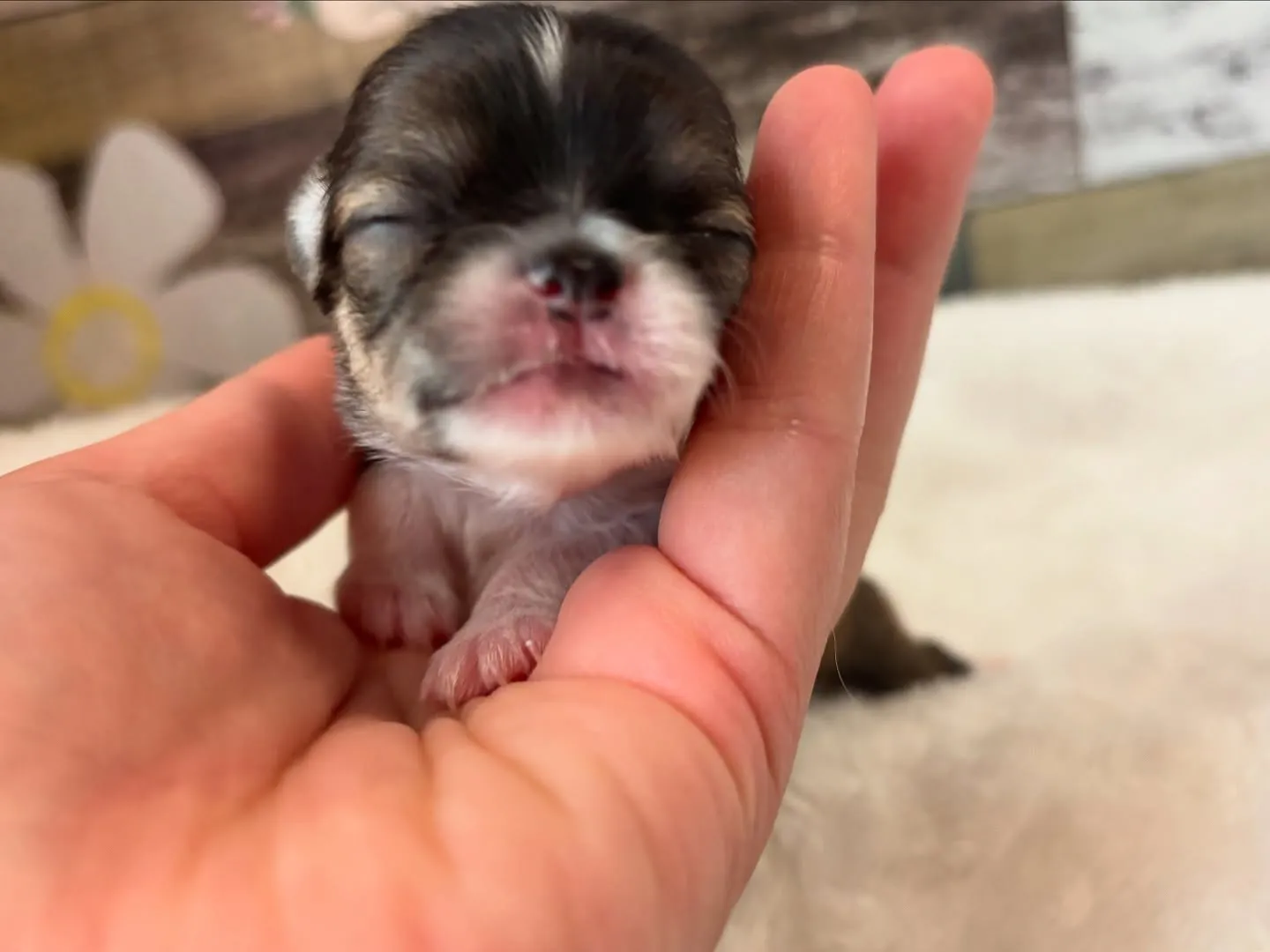 もうすぐかな？(*ﾟ∀ﾟ*)