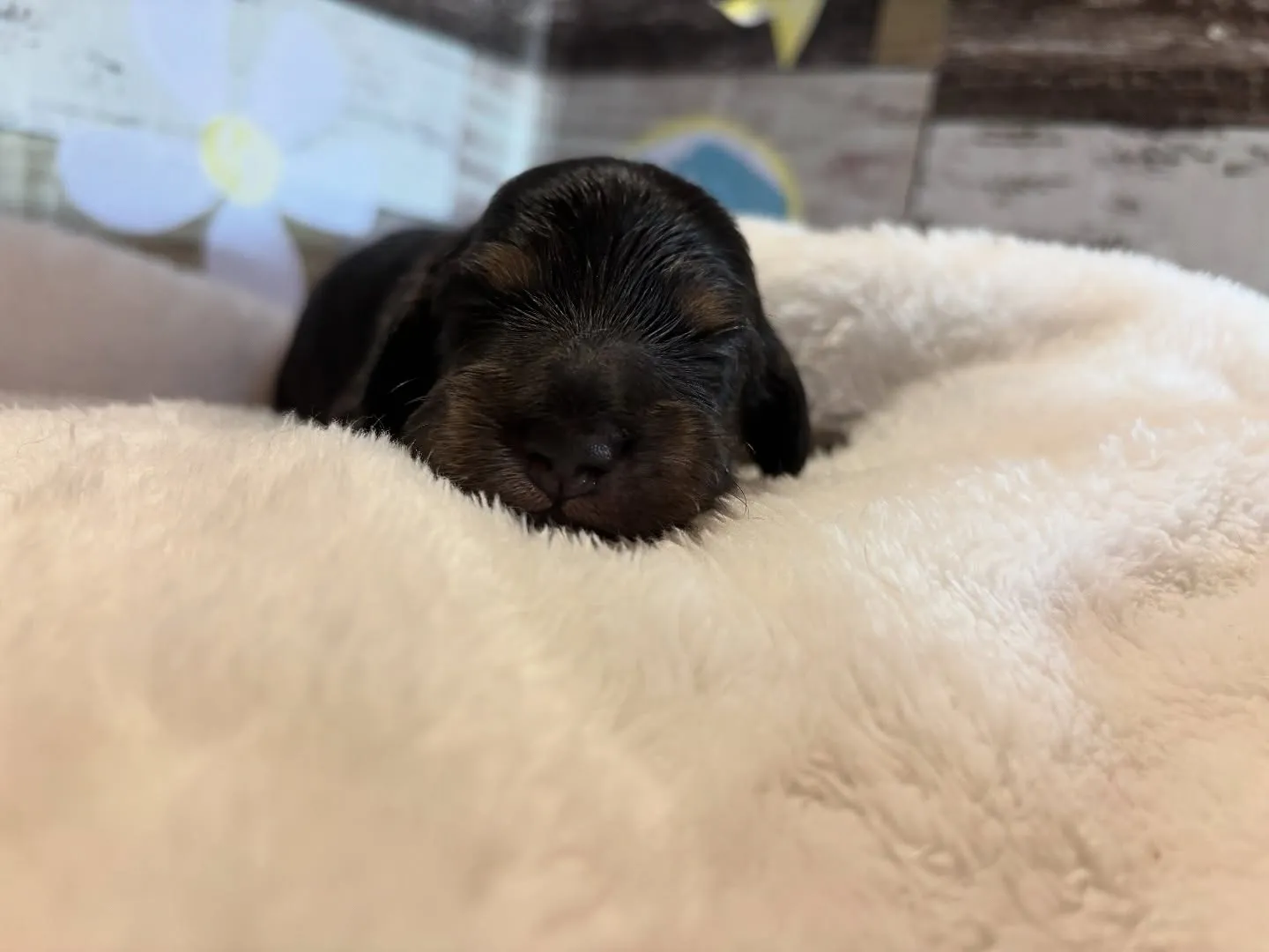 お顔お披露目♡