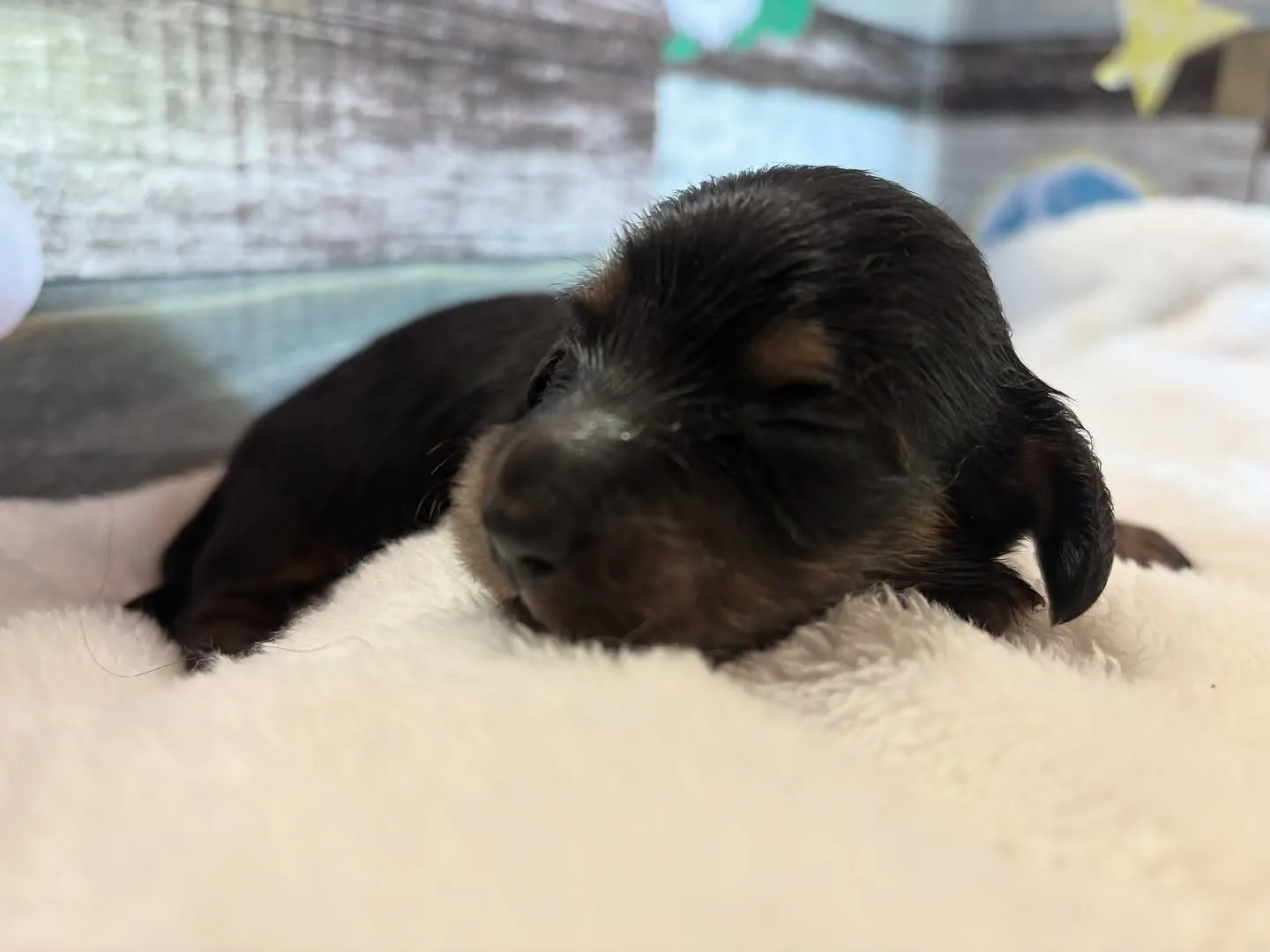 お顔お披露目♡