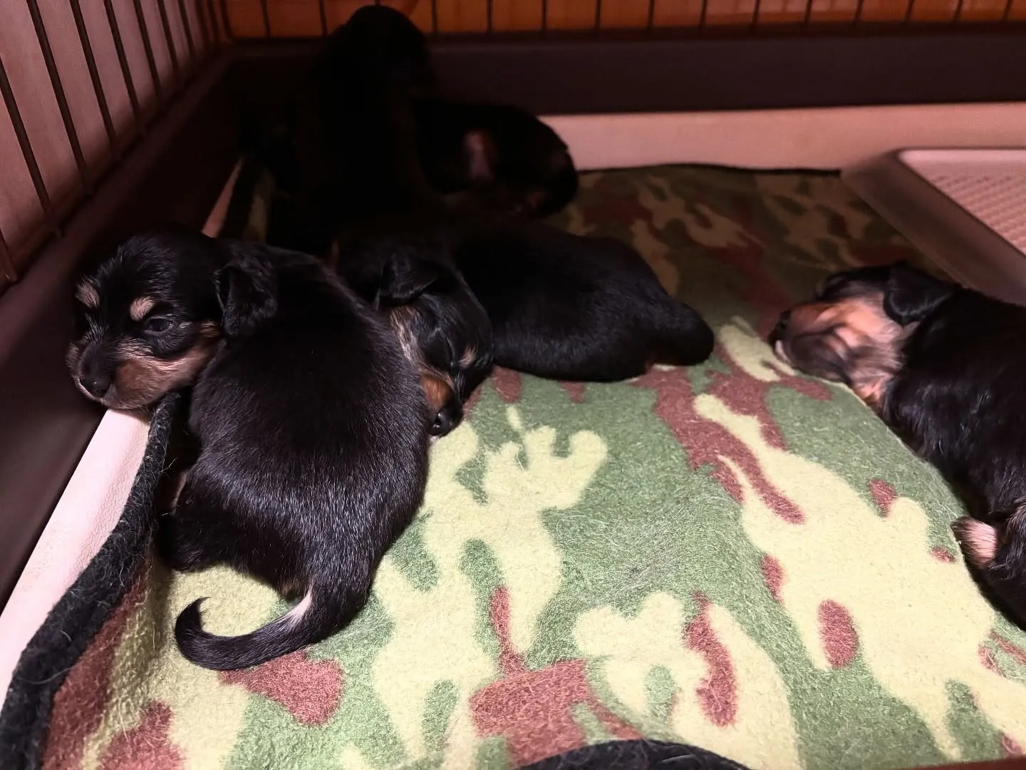 みんな成長中♡