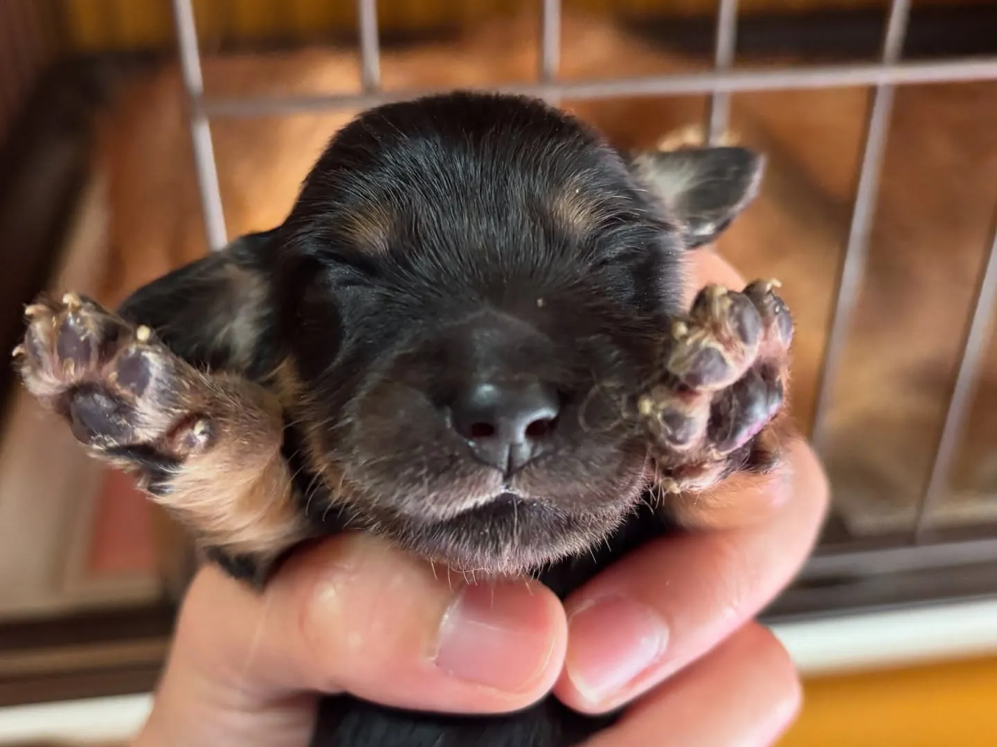 ちょっと失礼しまーす♪(´ε` )