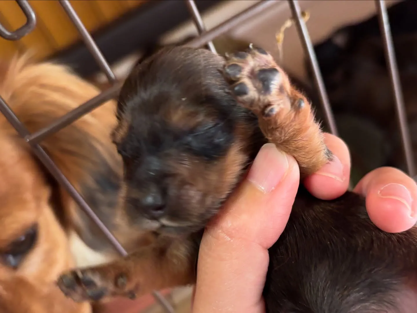 ちょっと失礼しまーす♪(´ε` )