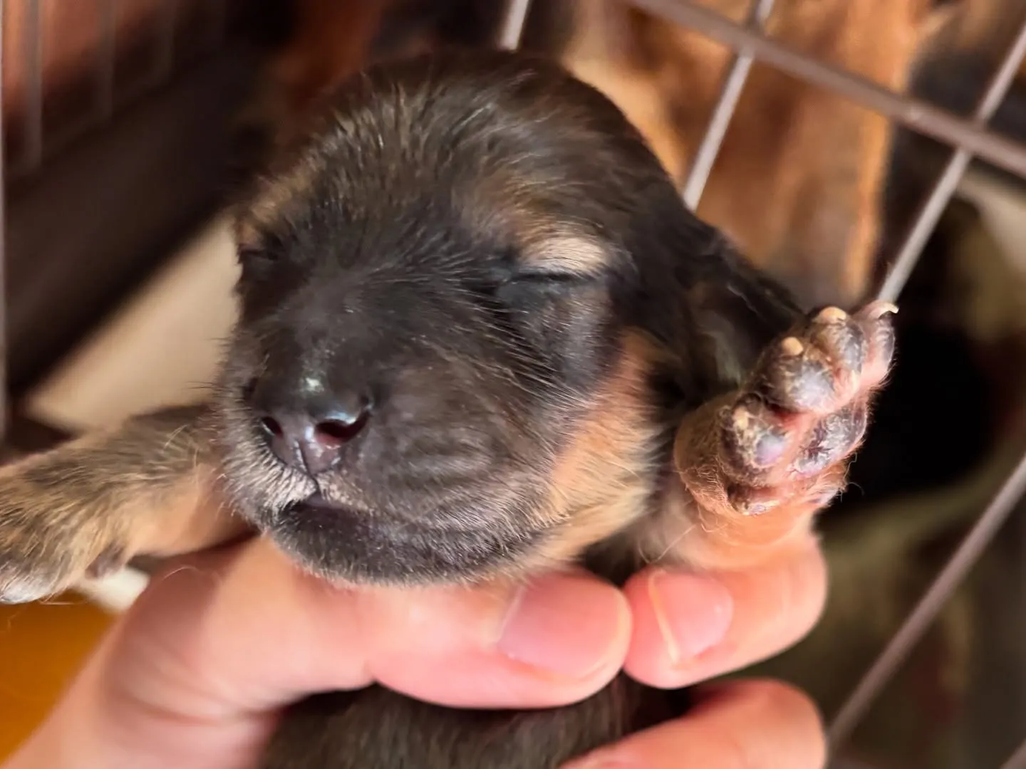 ちょっと失礼しまーす♪(´ε` )
