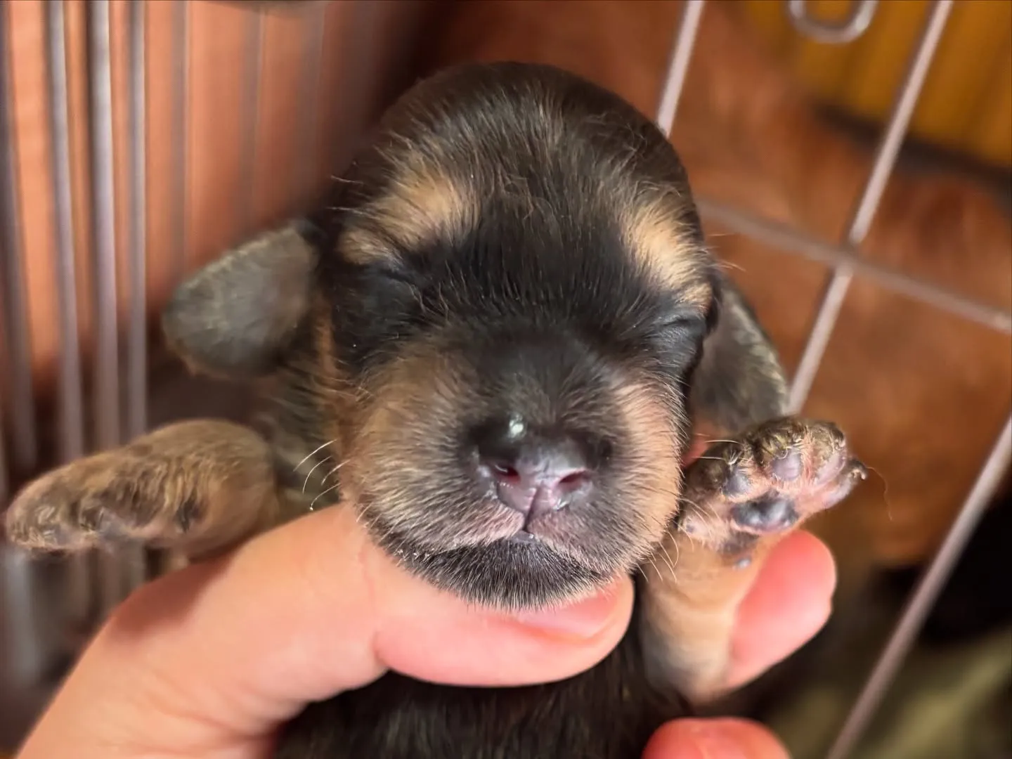 ちょっと失礼しまーす♪(´ε` )