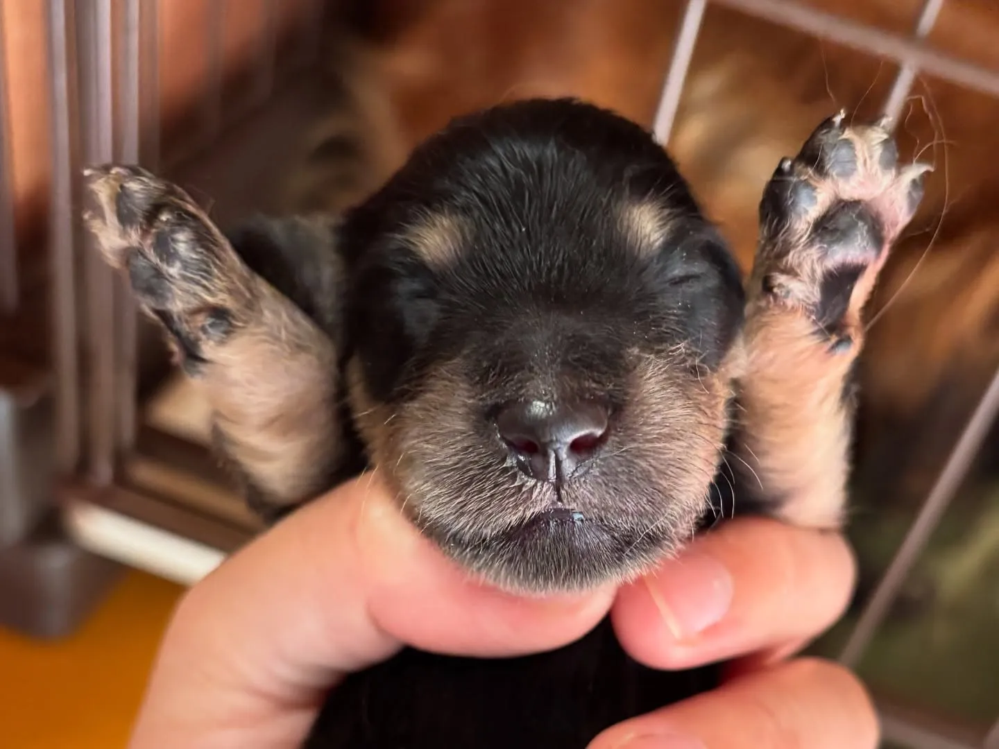 ちょっと失礼しまーす♪(´ε` )