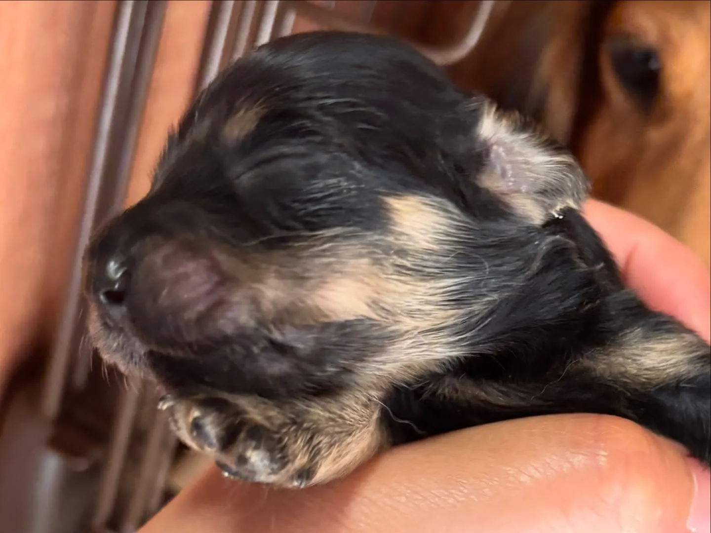 ちょっと失礼しまーす♪(´ε` )