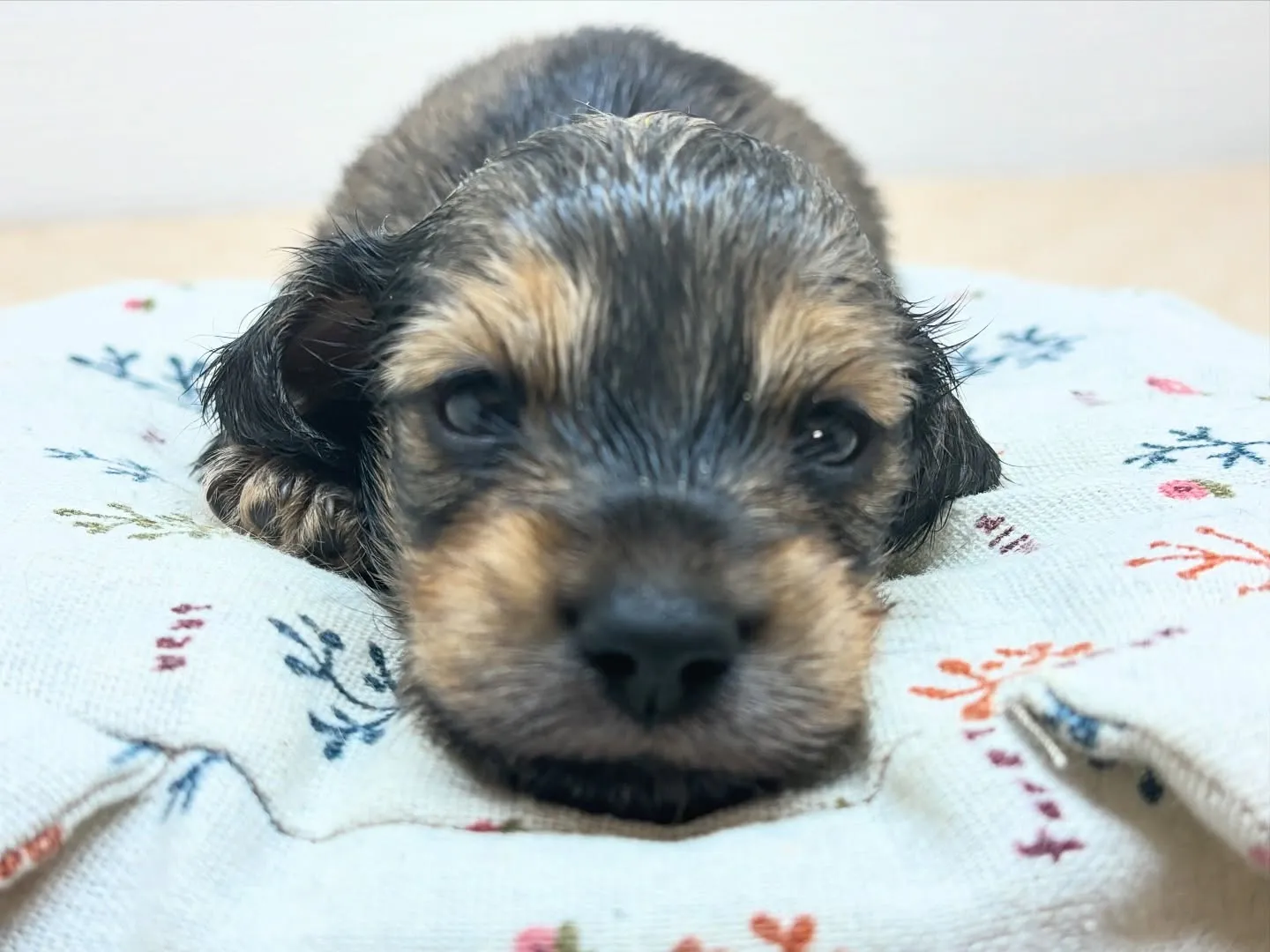 まもなくでーす(^o^)