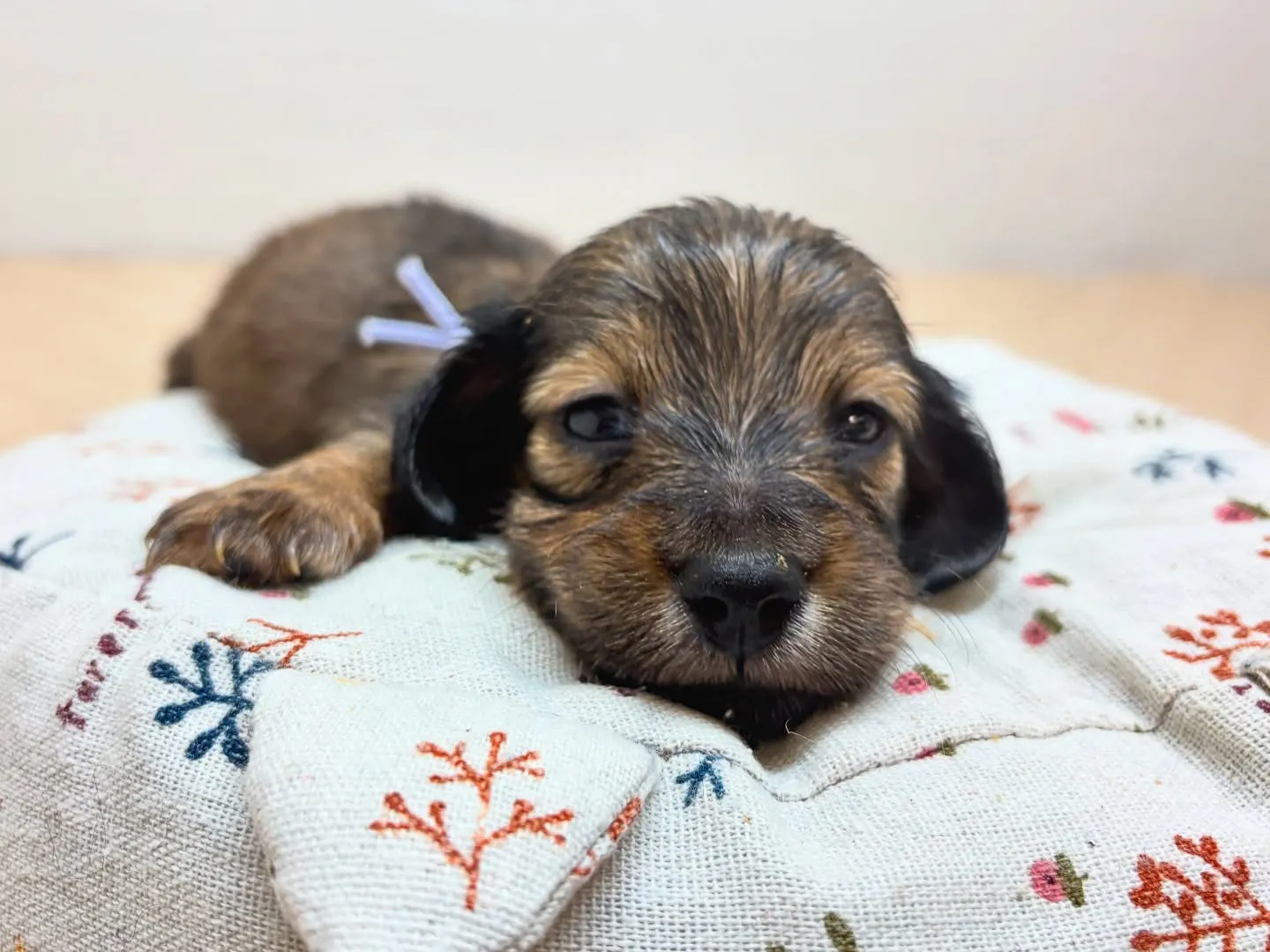 まもなくでーす(^o^)