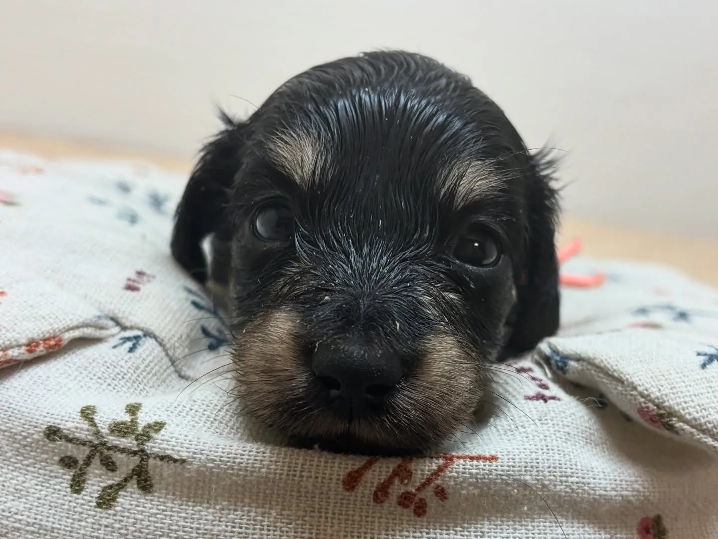 まもなくでーす(^o^)