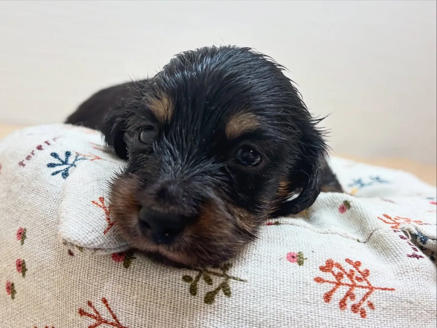 まもなくでーす(^o^)