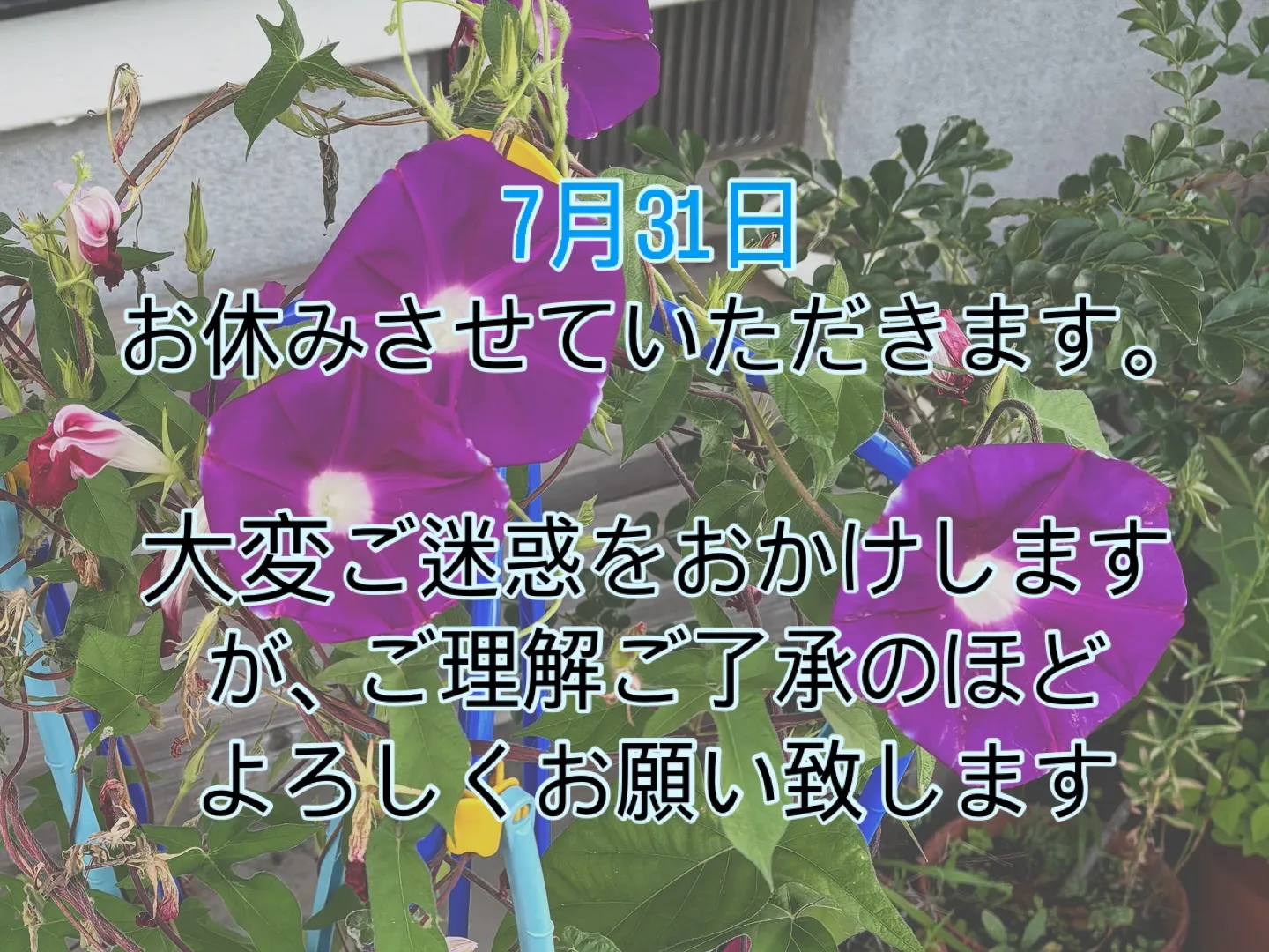 お休みのお知らせですU・x・U