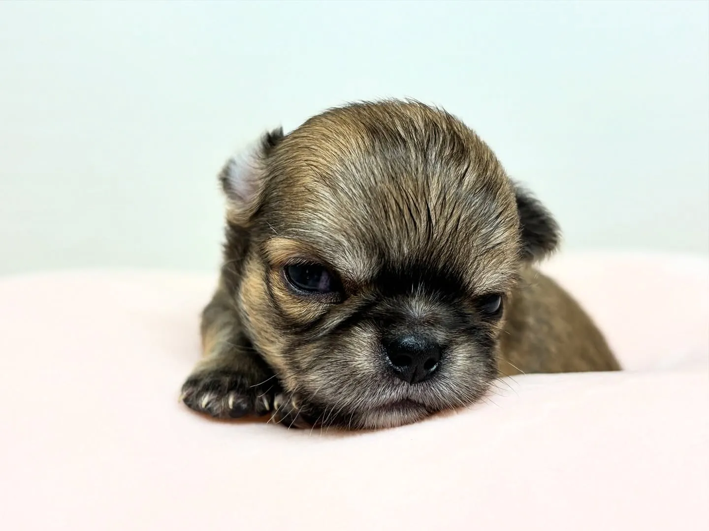 お目めが開いたよ(*^▽^*)