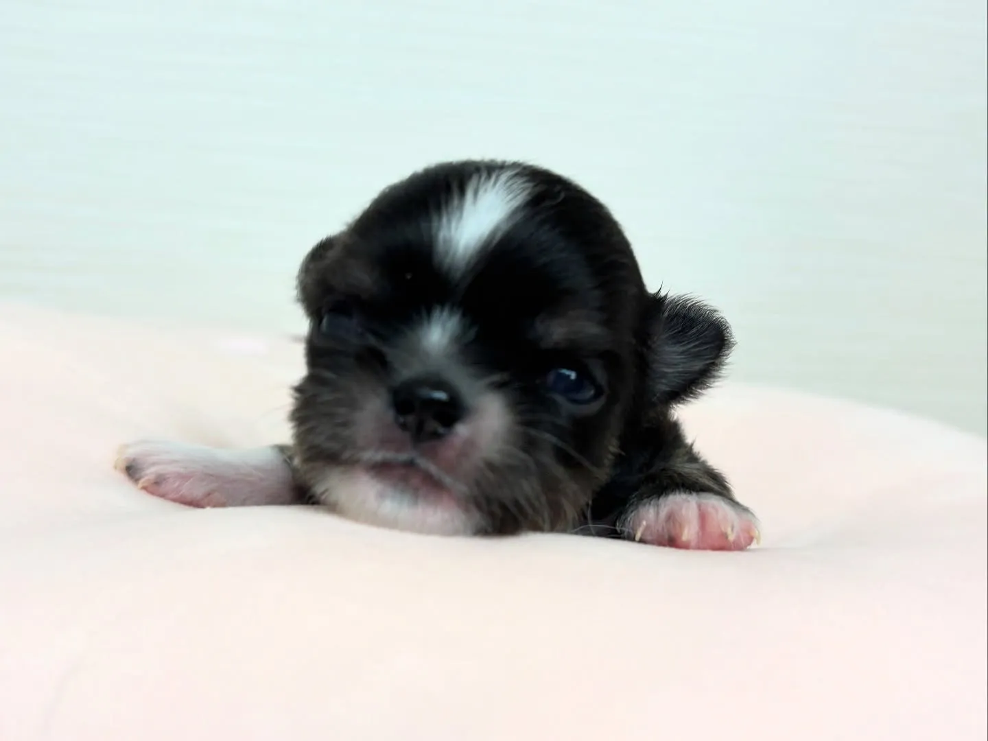 お目目開きました♡U・x・U♪