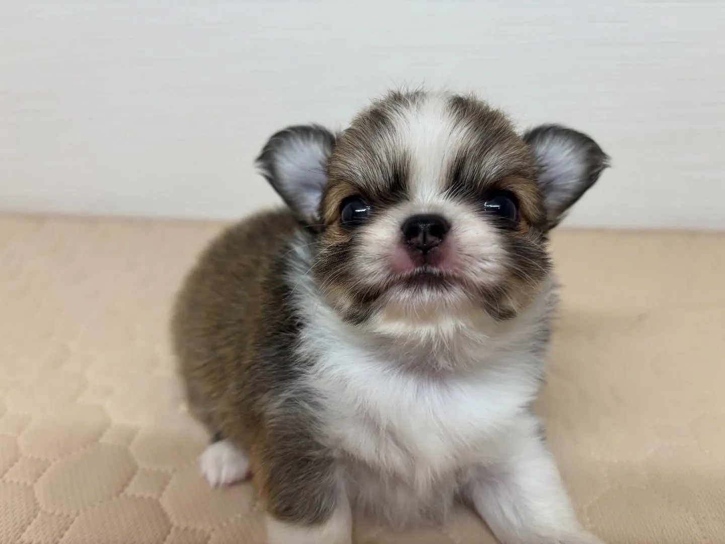 すくすく成長中です♡