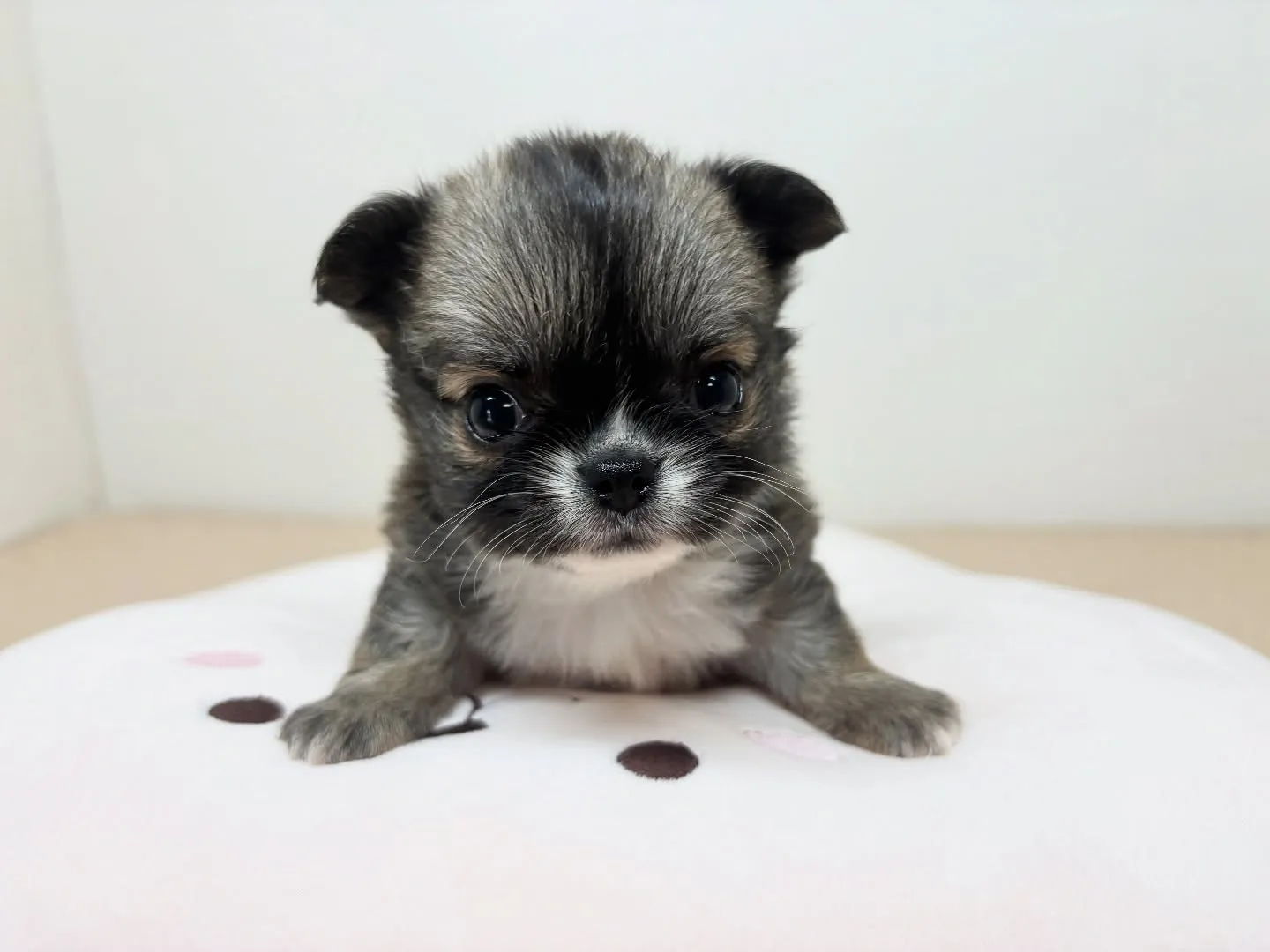 すくすく成長中です♡