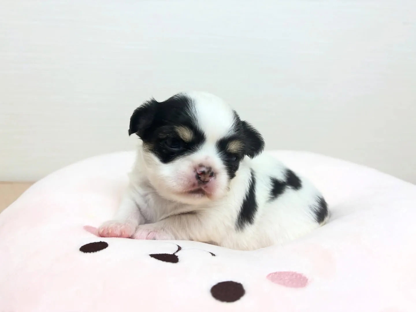 お顔お披露目♡