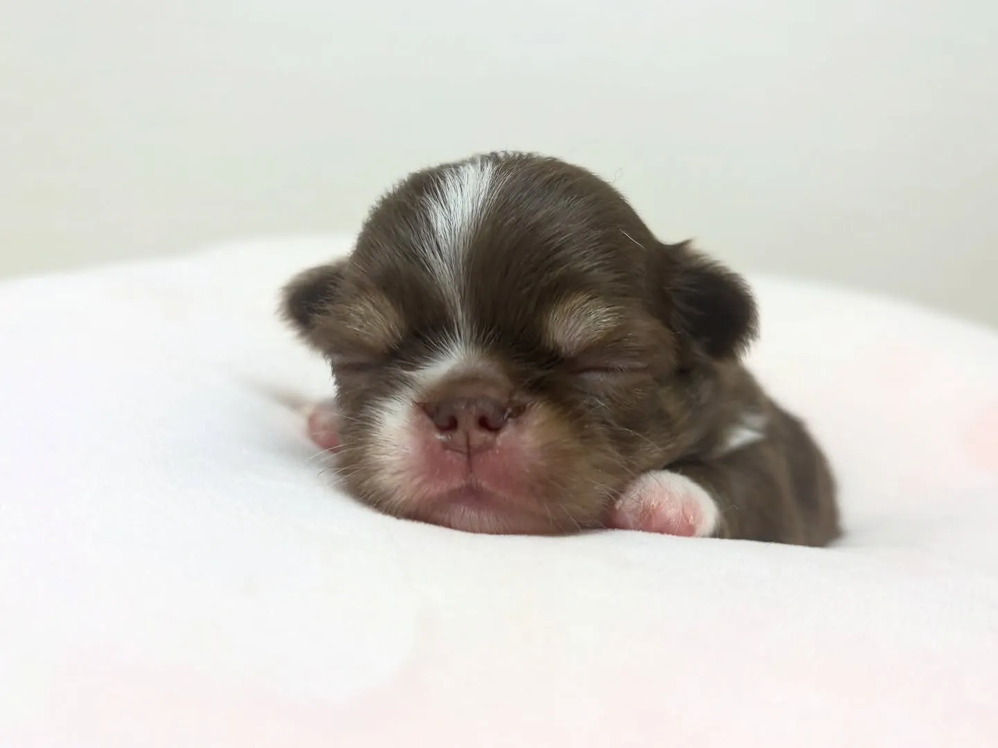 お顔お披露目♡