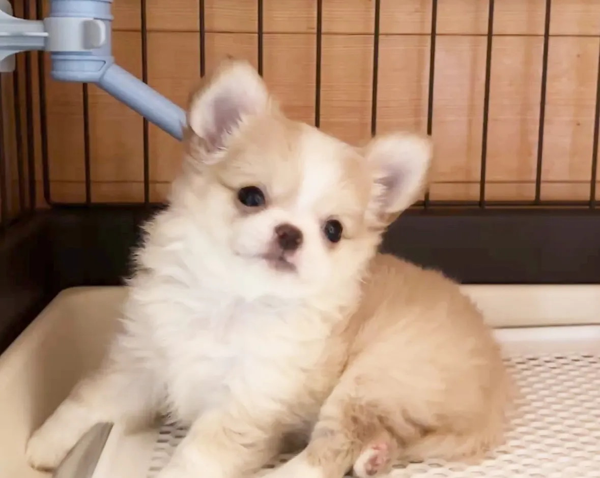 お迎えでした(*^▽^*)