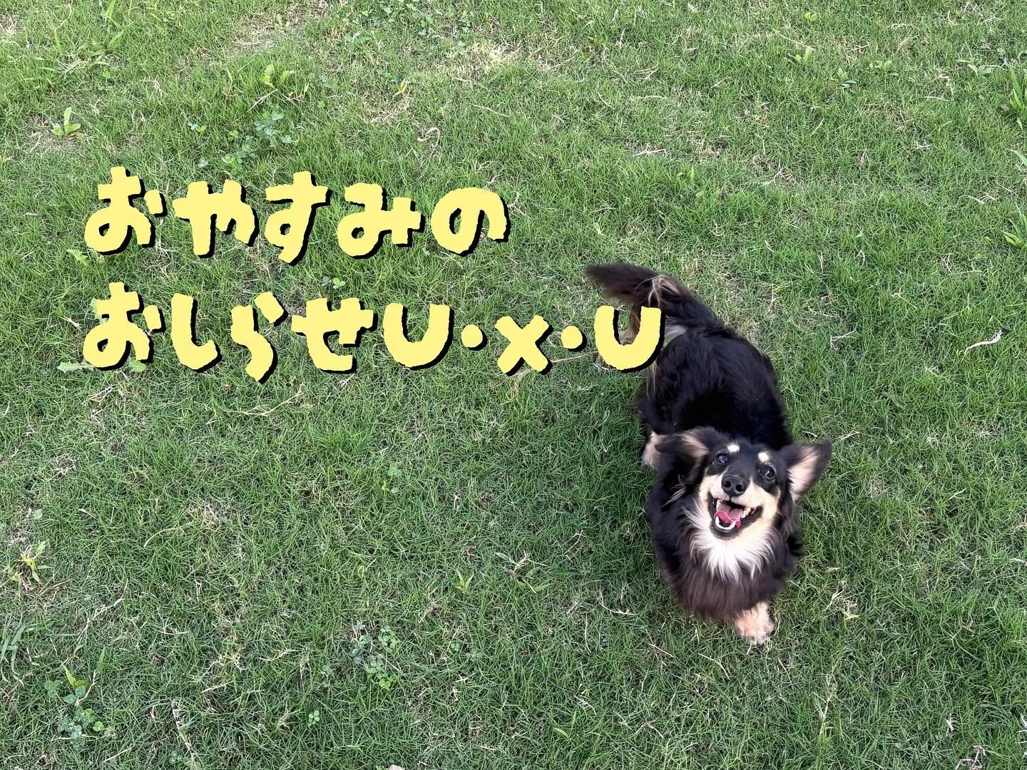 お休みのお知らせですU・x・U