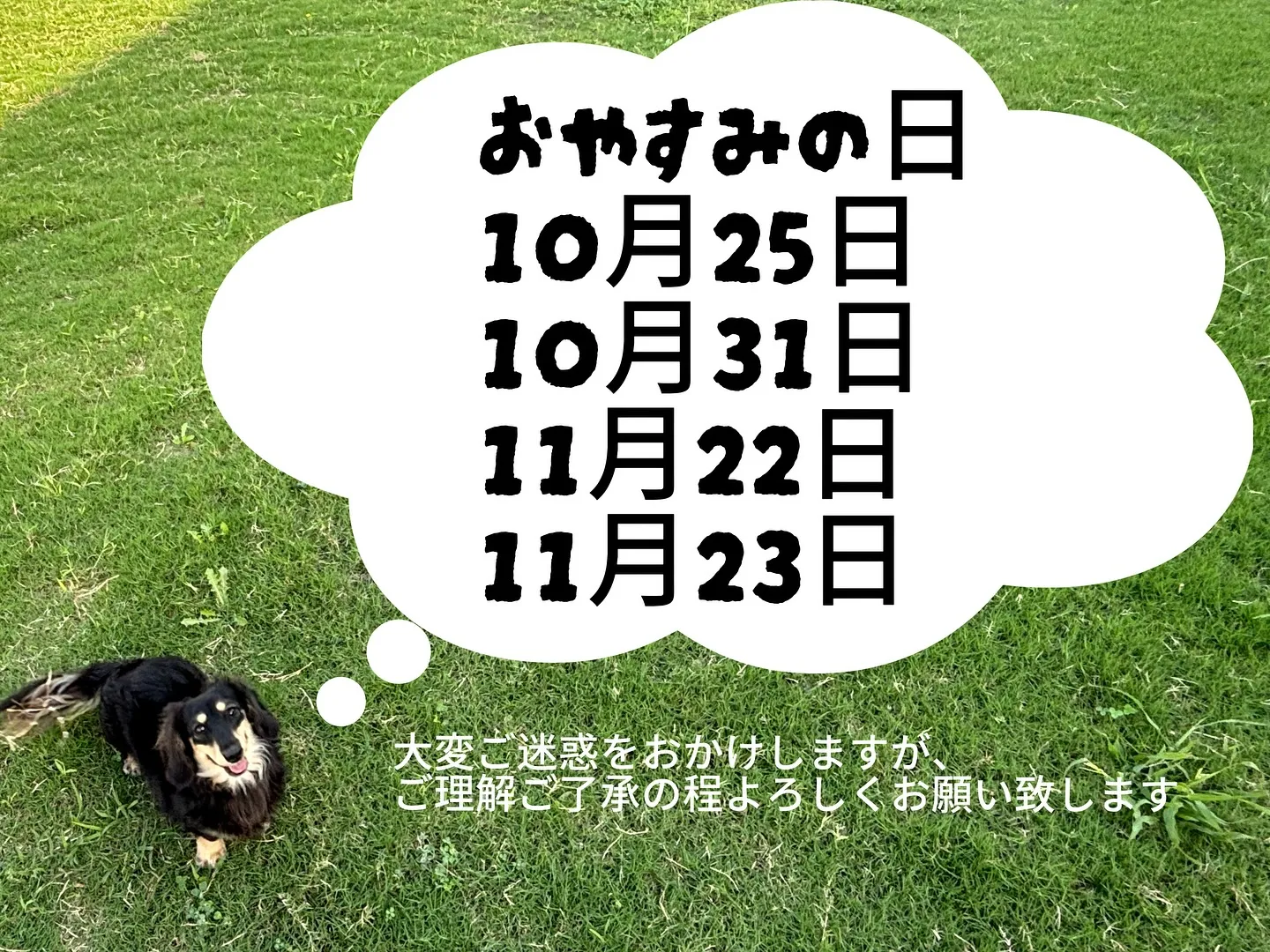 お休みのお知らせですU・x・U