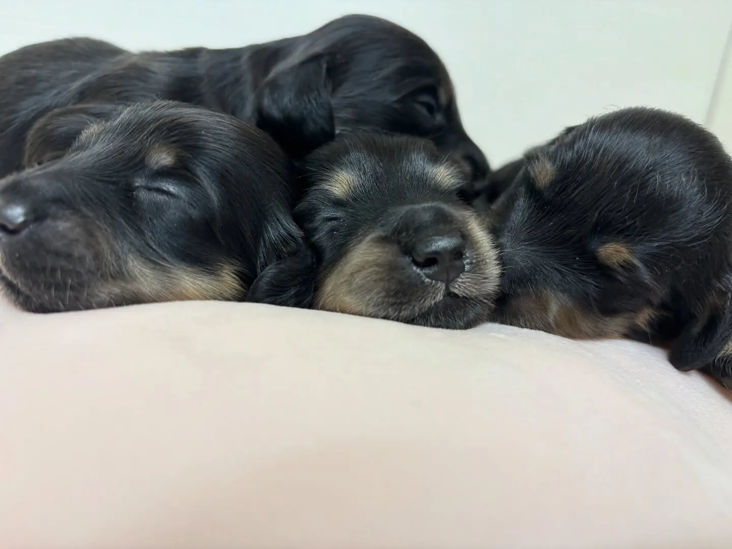 今日もぎゅーっと(￣▽￣)