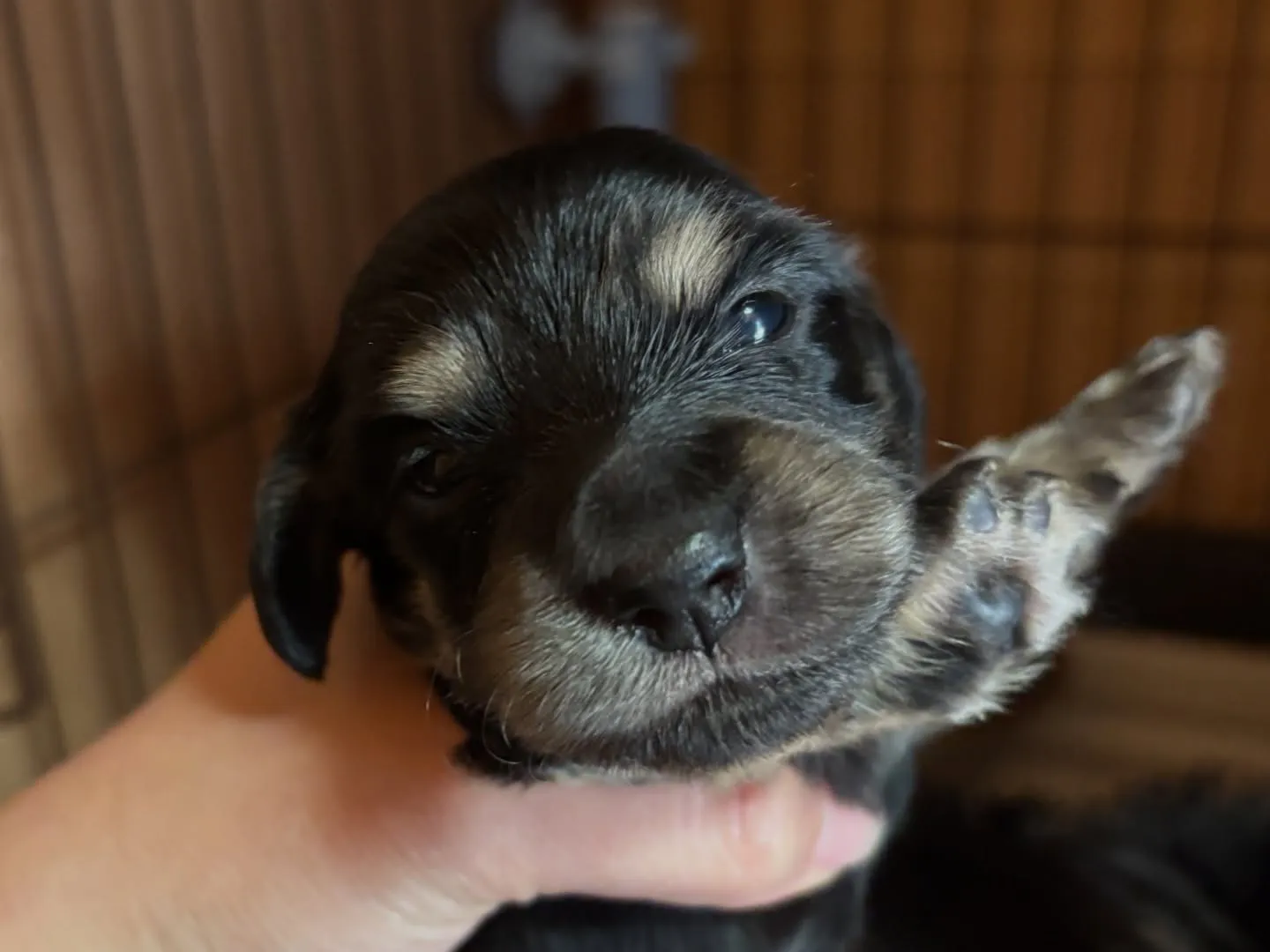 すくすく育ってます♡