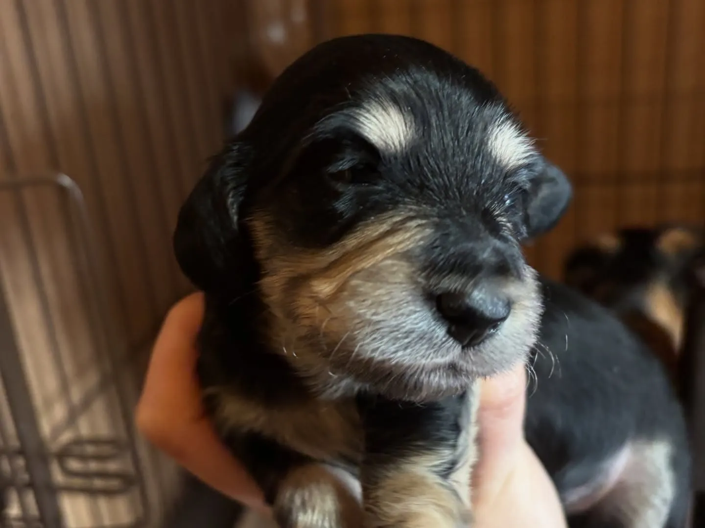 すくすく育ってます♡