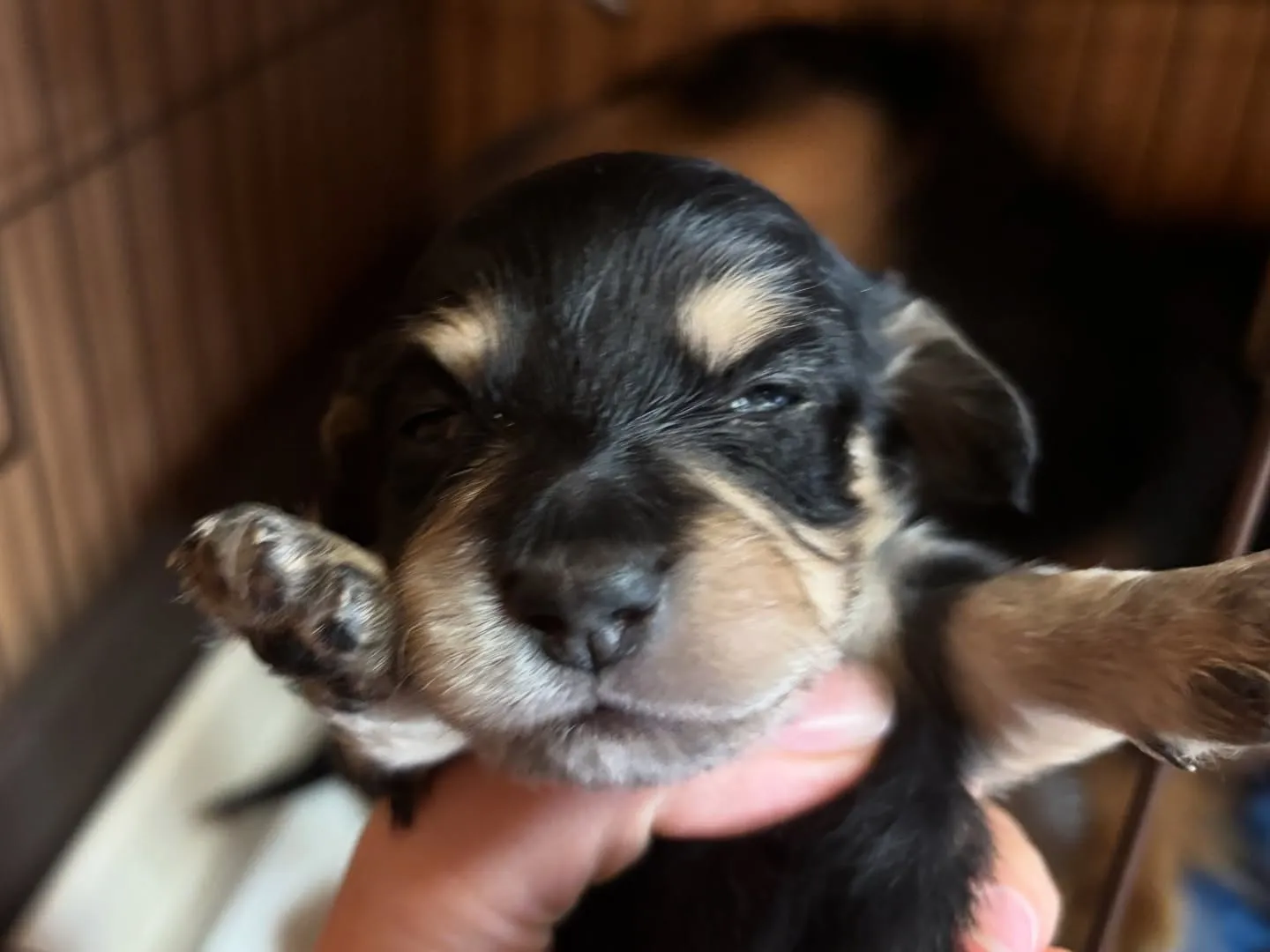 すくすく育ってます♡