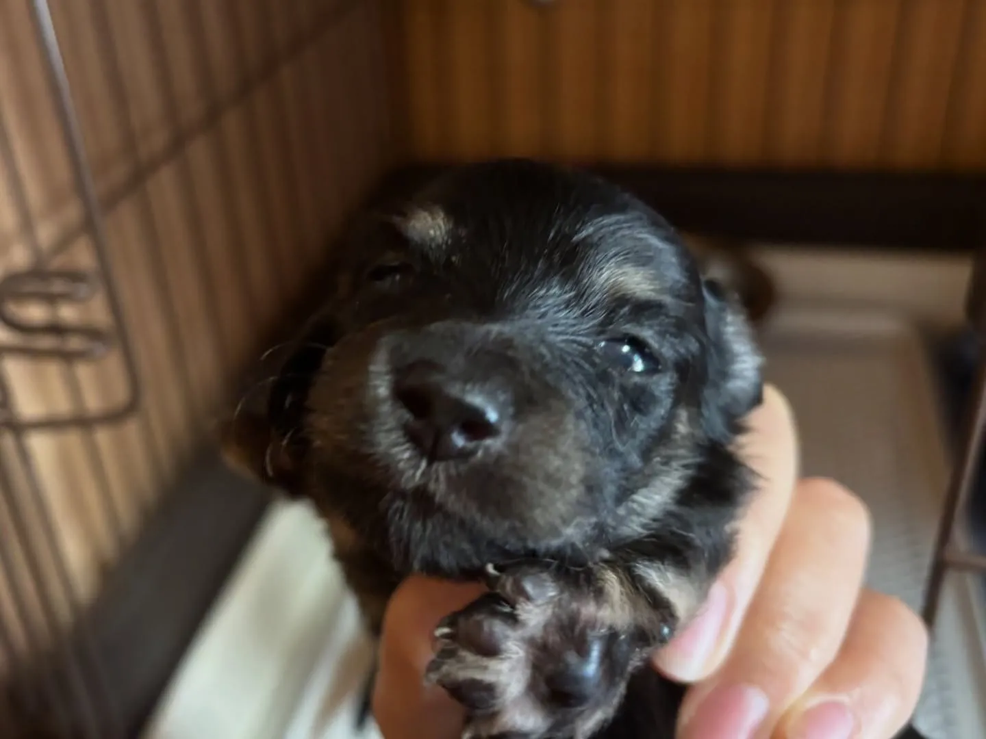 すくすく育ってます♡