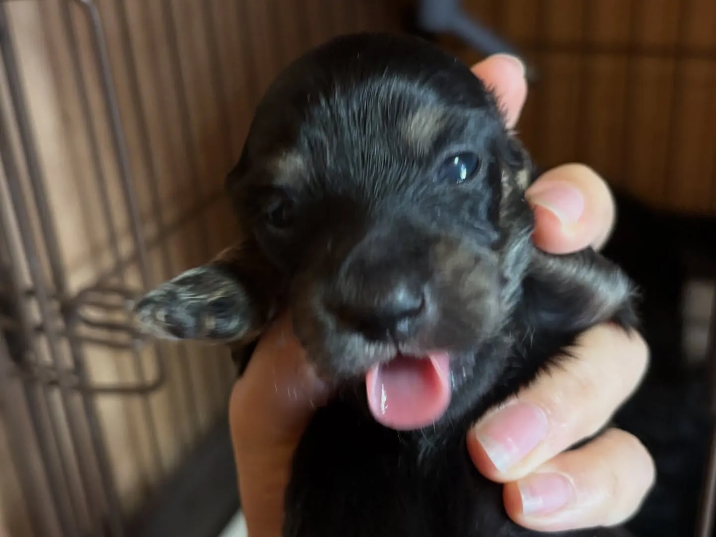 すくすく育ってます♡