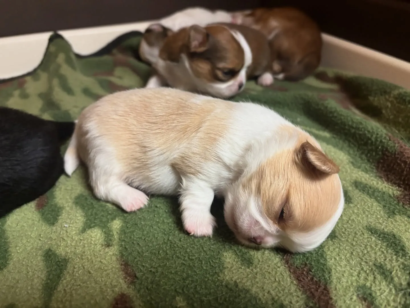 ムッチムチのムッチムチ♪