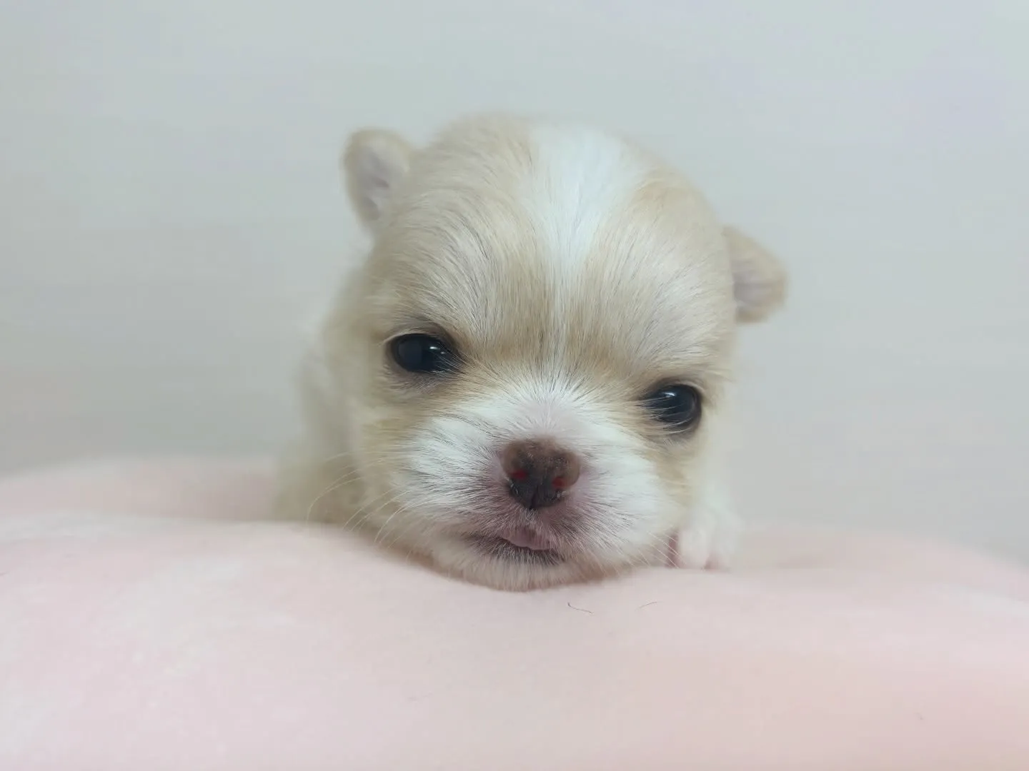 ご家族様募集始めます(*≧∀≦*)