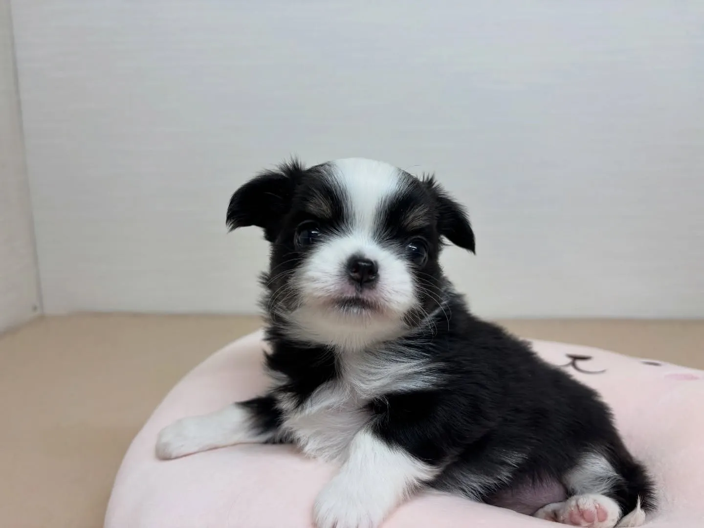 ご家族様決まりましたー！