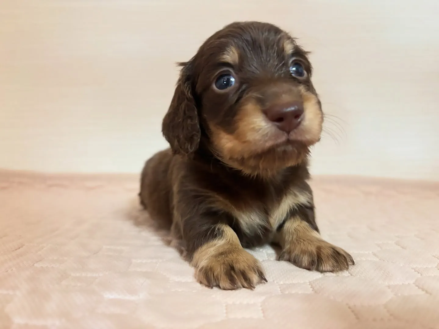 ご家族様募集始めます！(*≧∀≦*)