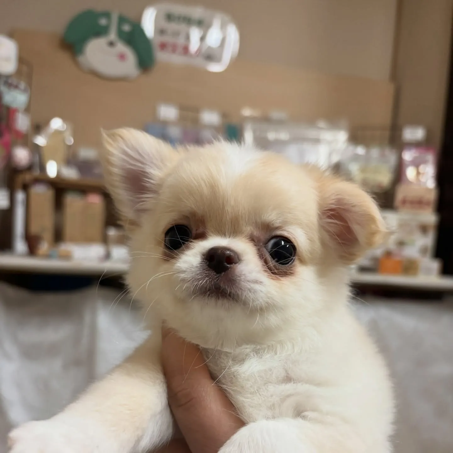 お迎えでした(*´∇｀*)