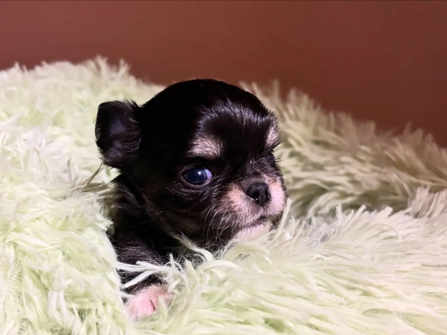 お目め開きました♡