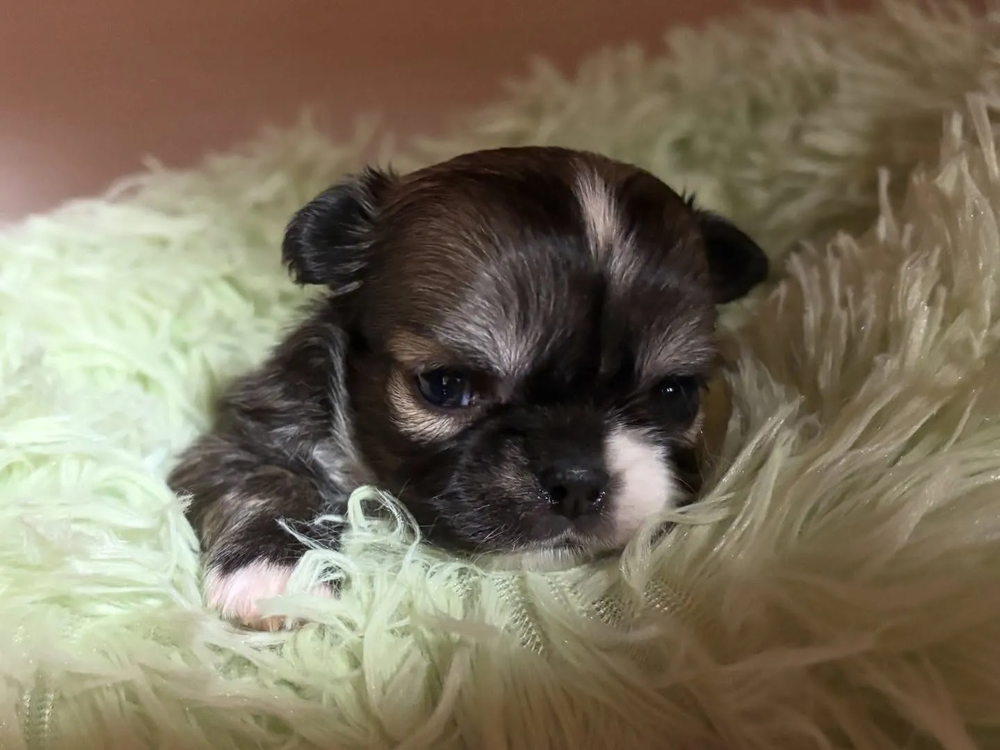 お目め開きました♡