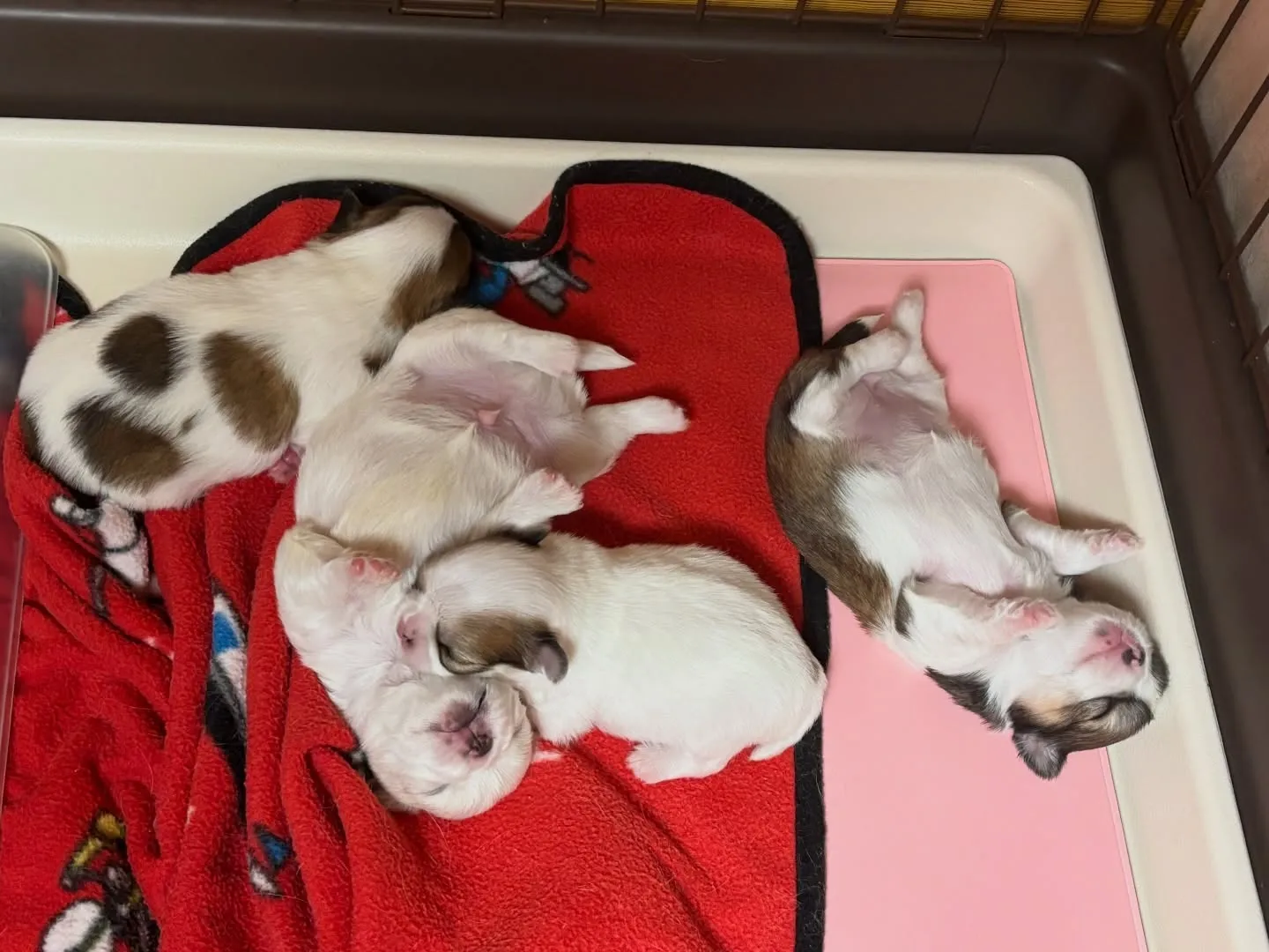 気持ちよさそーだねー( ´ ▽ ` )♡