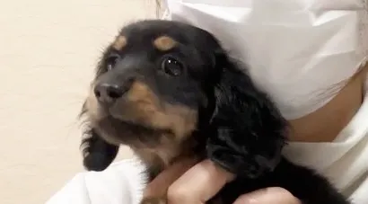 お迎えでした♡( ^ω^ )