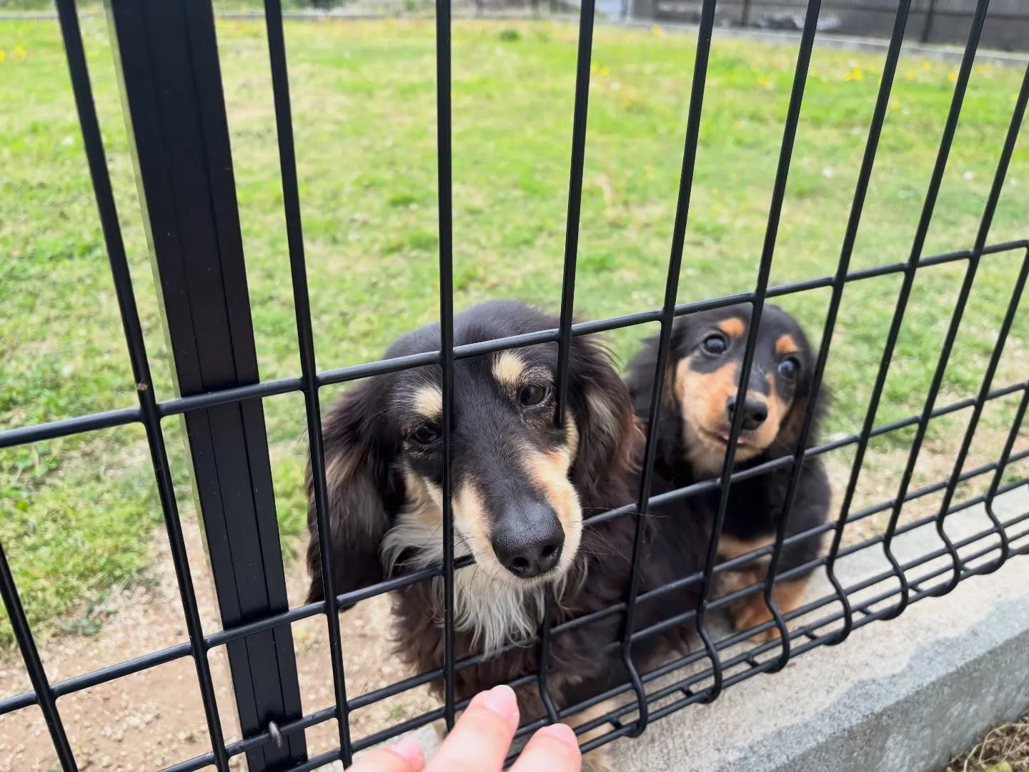 お外デビュー♡(*≧∀≦*)