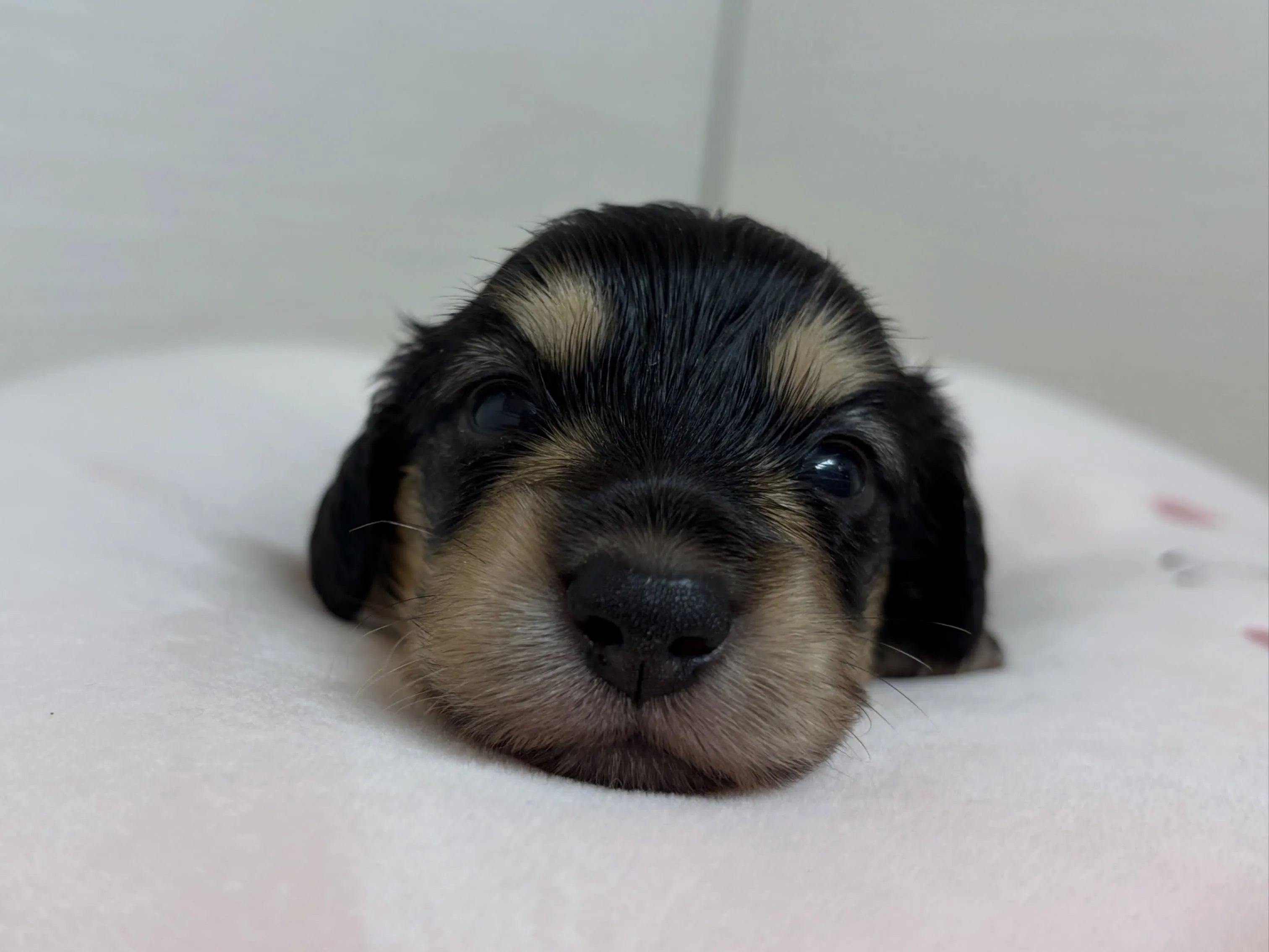 ナギちゃんbabyは元気に成長中♡