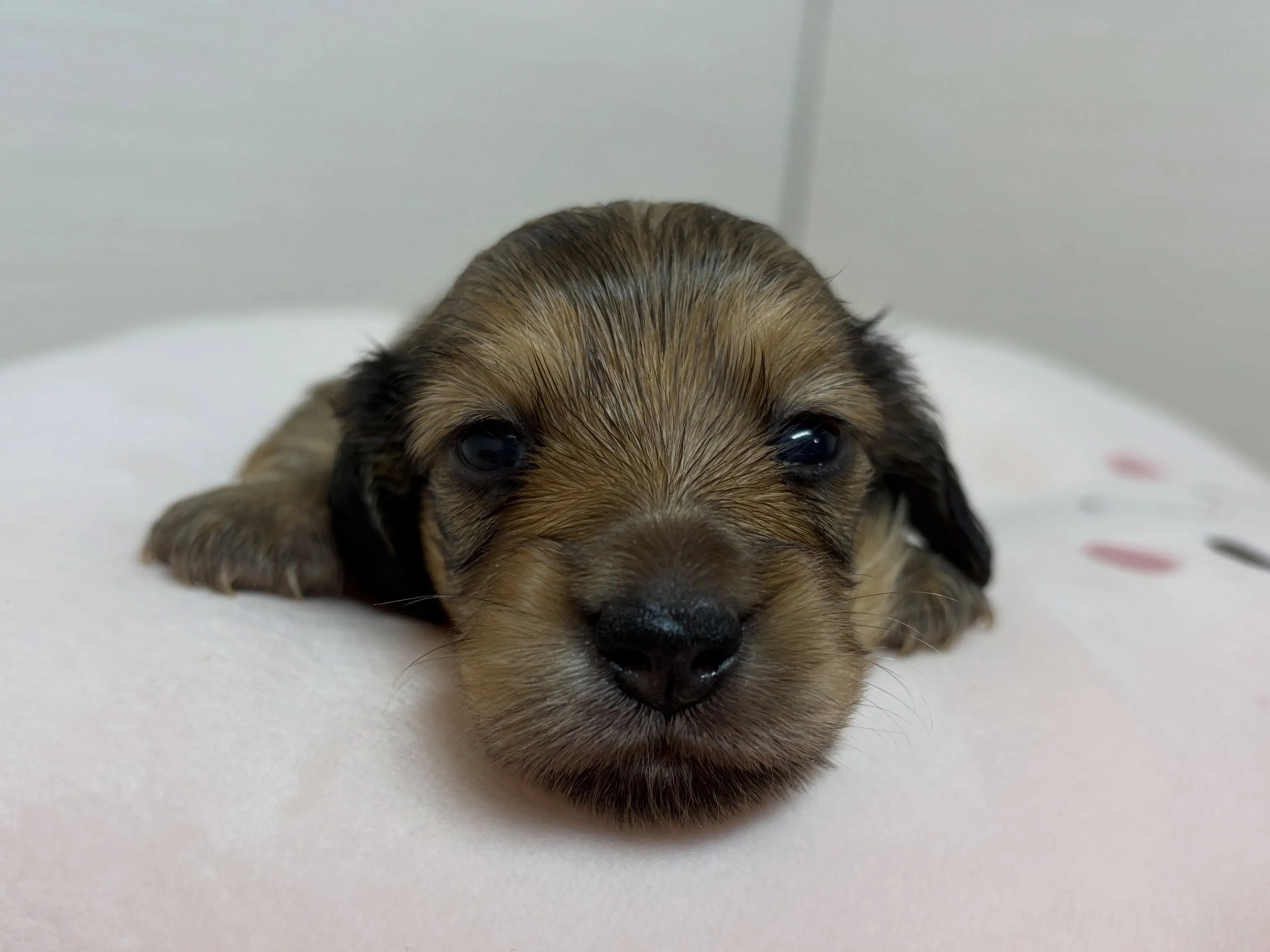 ナギちゃんbabyは元気に成長中♡