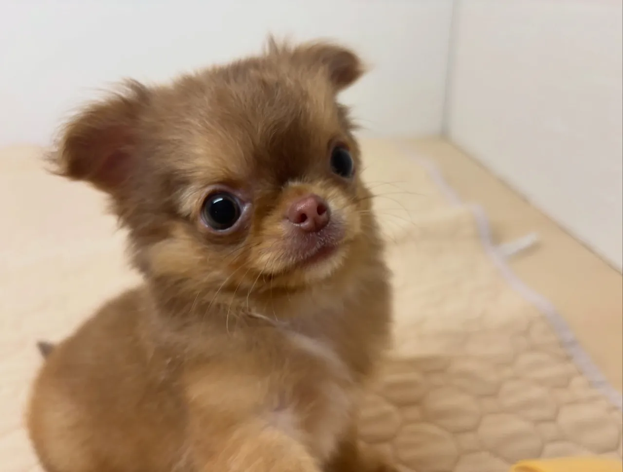 まだまだご家族様募集してまーす(*^o^*)